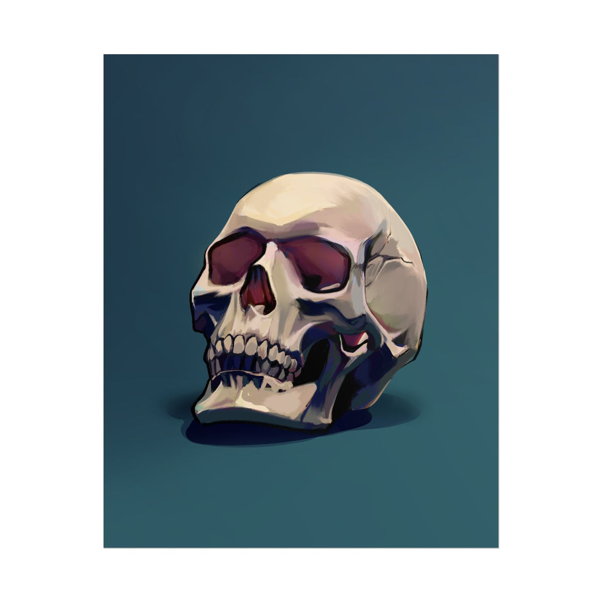Skull — Rolled Poster