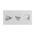 Skull Angles — Rolled Poster