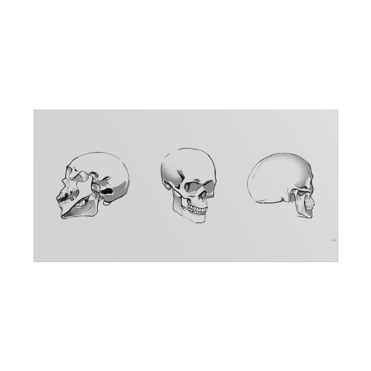 Skull Angles — Rolled Poster