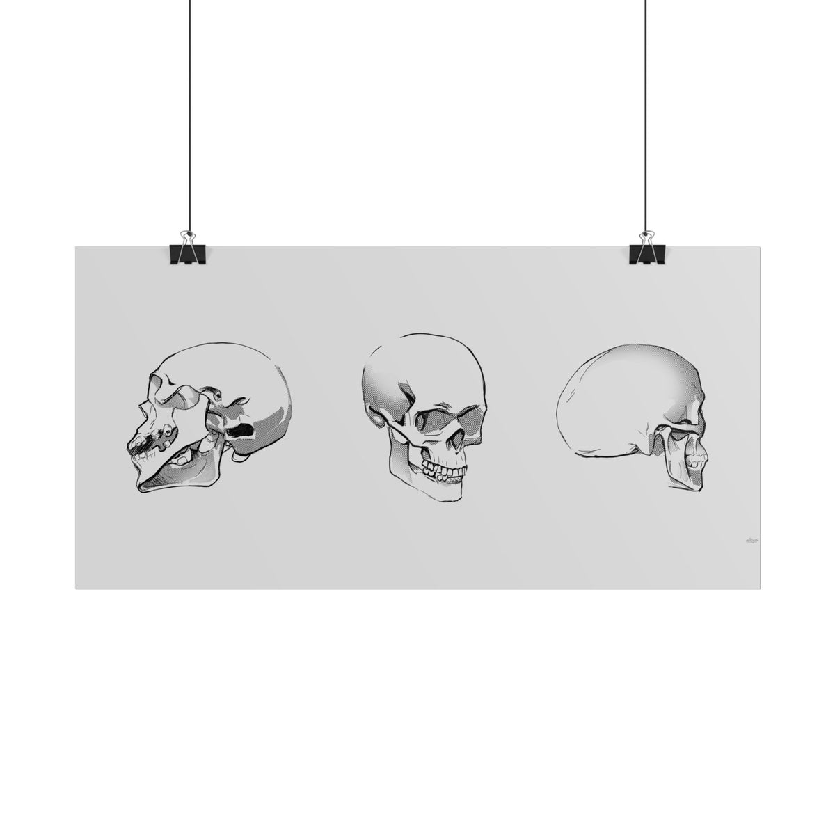 Skull Angles — Rolled Poster