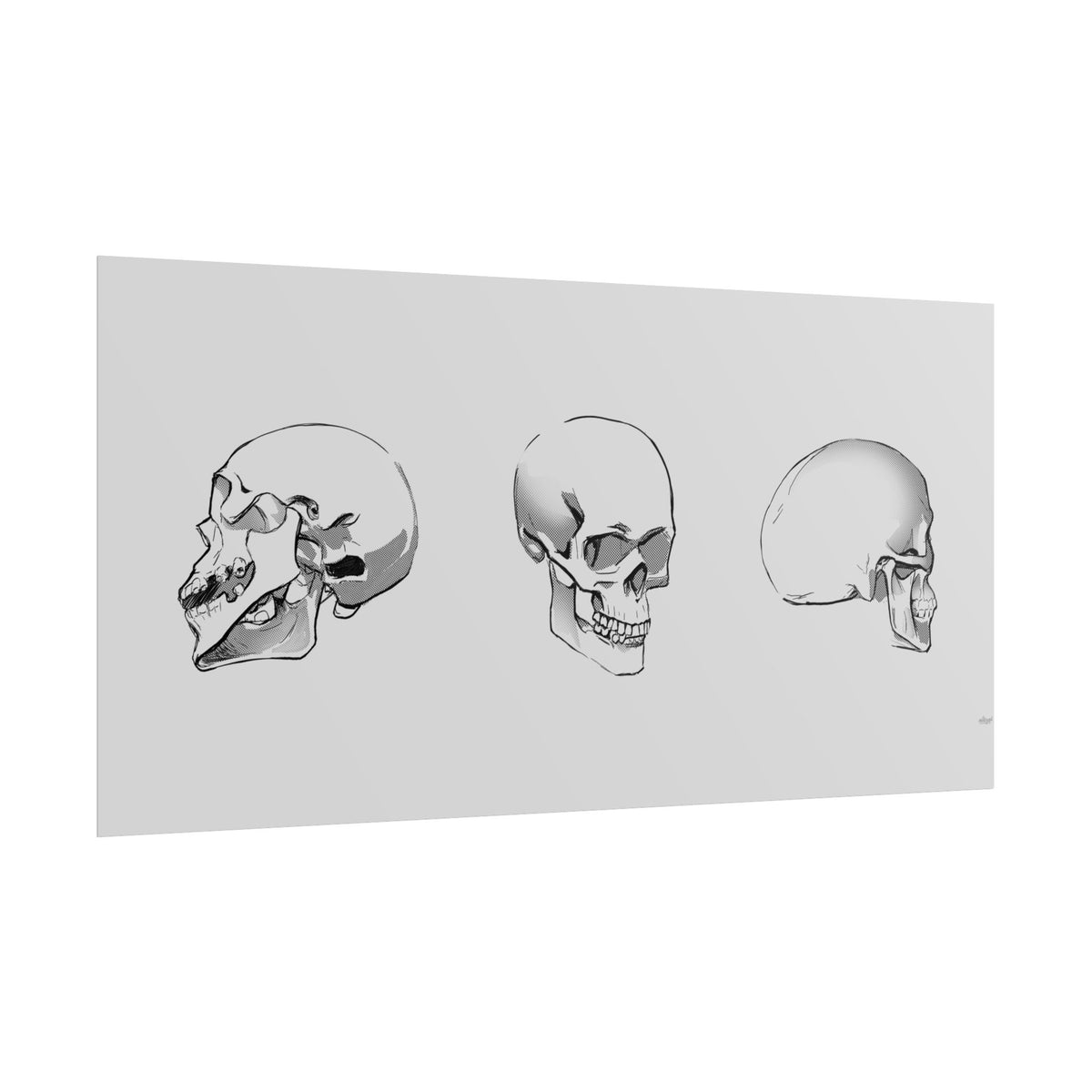 Skull Angles — Rolled Poster